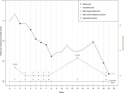 Maximal Segmental Score Method for Localizing Recessive Disease Variants Based on Sequence Data